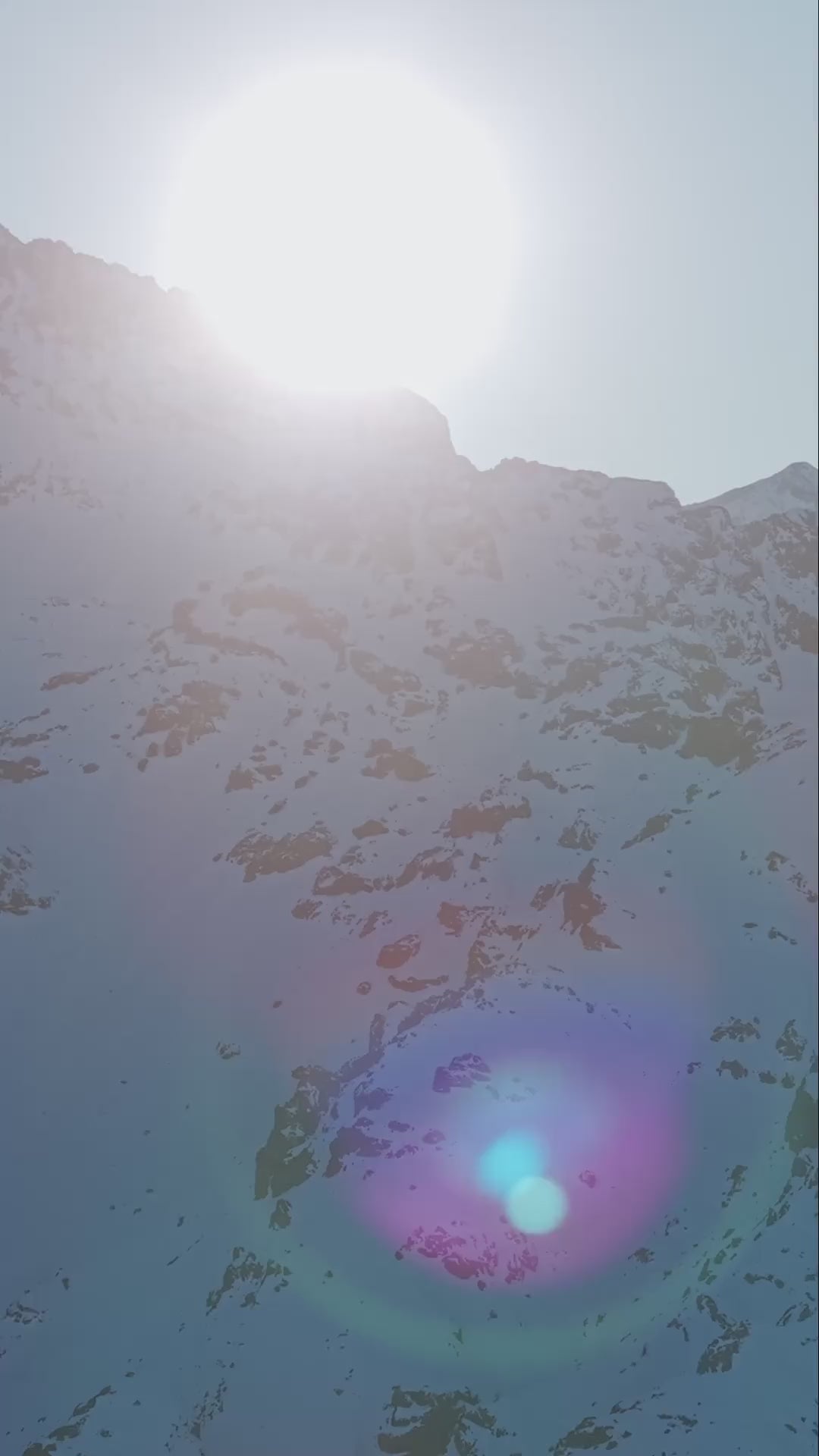 FARM Rio | WHITESPACE collab video